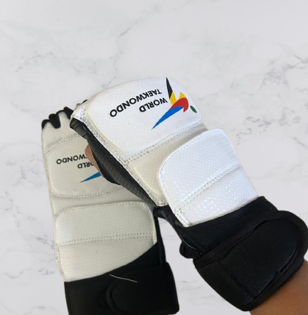 Taekwondo Gloves ...Aryan Sports