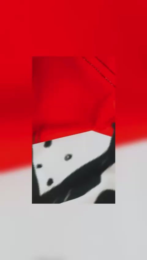 Kungfu Tshirt with Lower  Aryan Sports